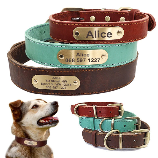 Personalized leather dog collar with golden nameplate ID tag for medium to large dogs