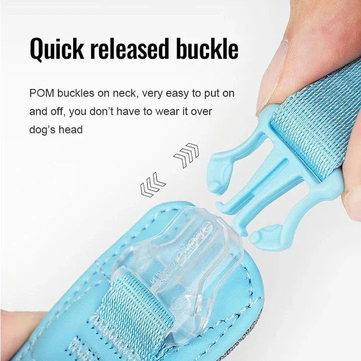 Eco-friendly pet harness set with adjustable leash and poop bag holder for comfortable, sustainable outdoor adventures with your furry friend
