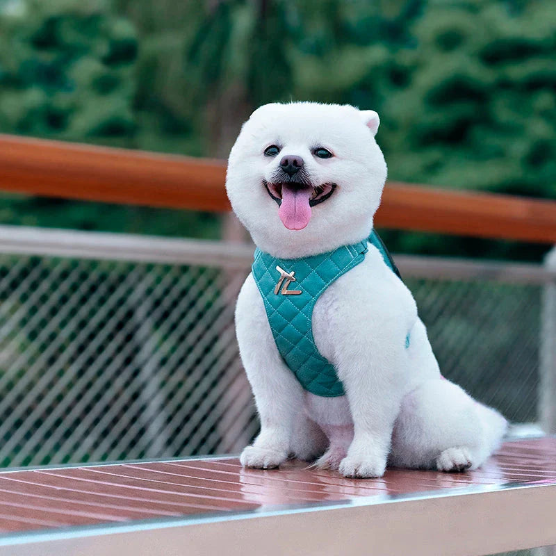 Eco-friendly pet harness set with adjustable leash and poop bag holder for comfortable, sustainable outdoor adventures with your furry friend