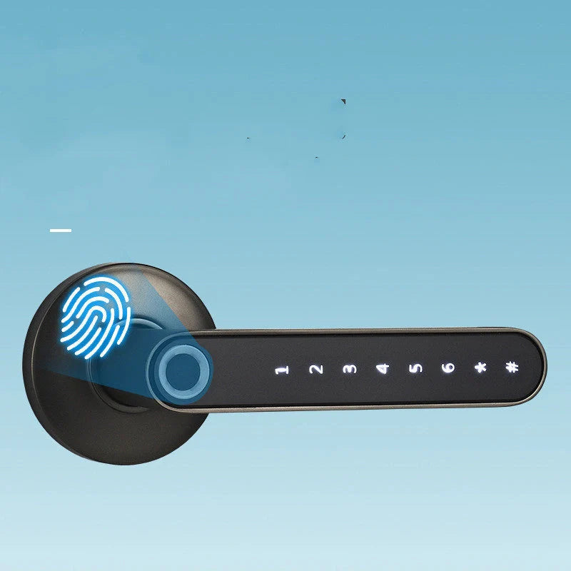 Smart Lock with fingerprint and Bluetooth access for home security