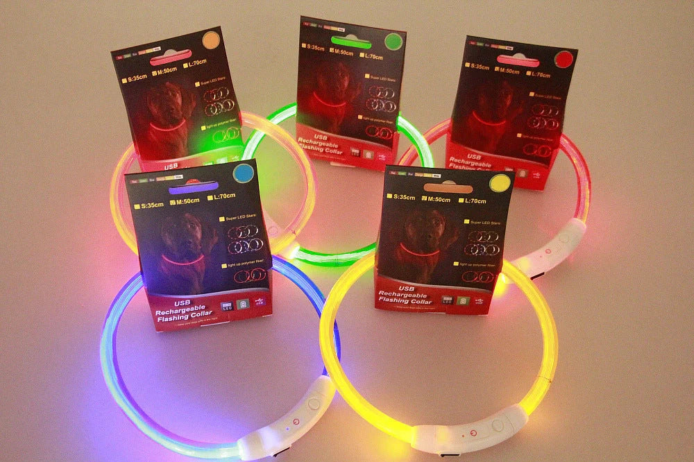 USB rechargeable LED pet safety collar for night visibility