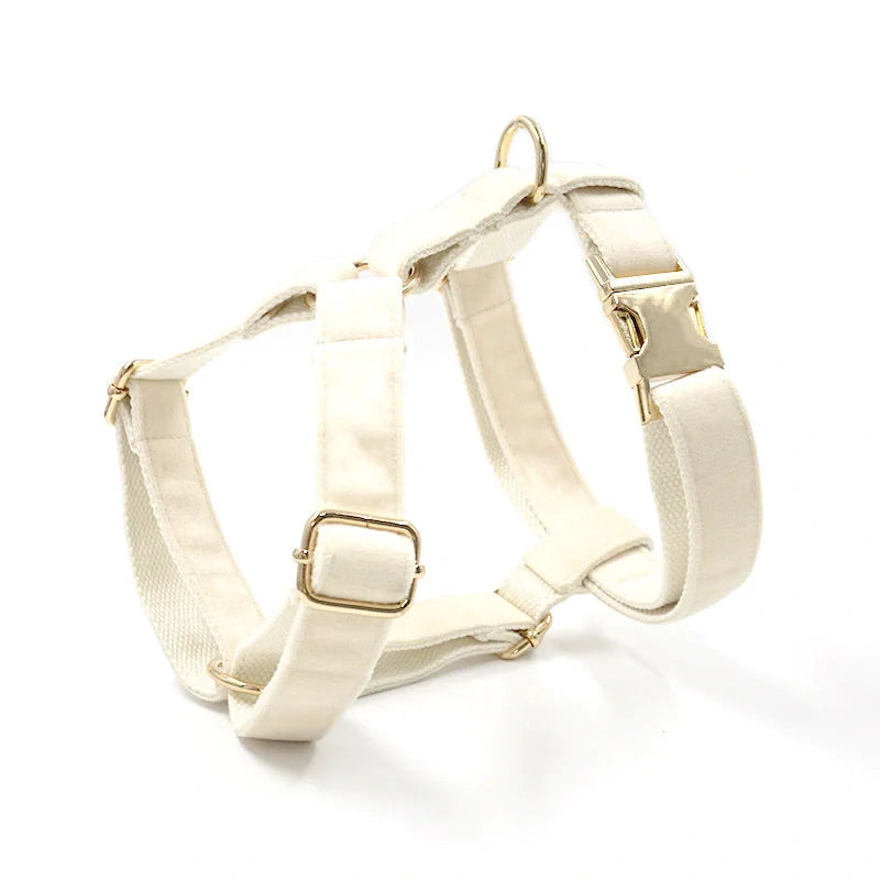 Durable dog collar and traction rope set in nude colour, perfect for safe and stylish walks.
