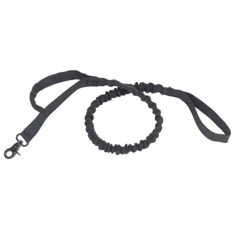 Retractable dog lead for outdoor training in various colors