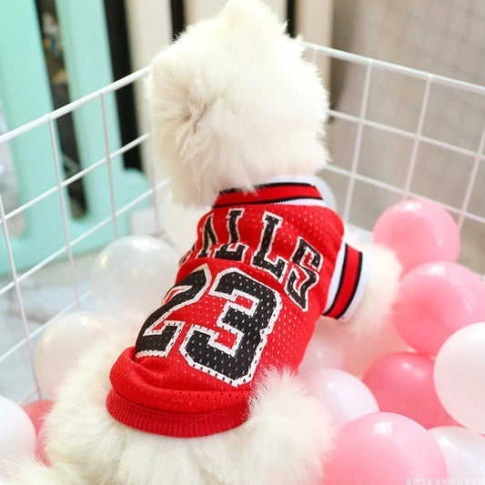 Breathable dog summer teddy vest in black and red, sizes for dogs 2 kg to 12 kg