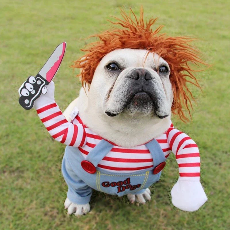 Adjustable Halloween pet costume for dogs in Horseman and Photo Color designs, includes wig and foam knife accessories