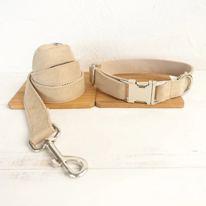 Durable dog collar and traction rope set in nude colour, perfect for safe and stylish walks.