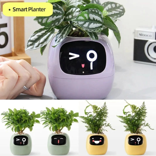 Smart Planter with AI and 7 sensors for easy plant care in various colours
