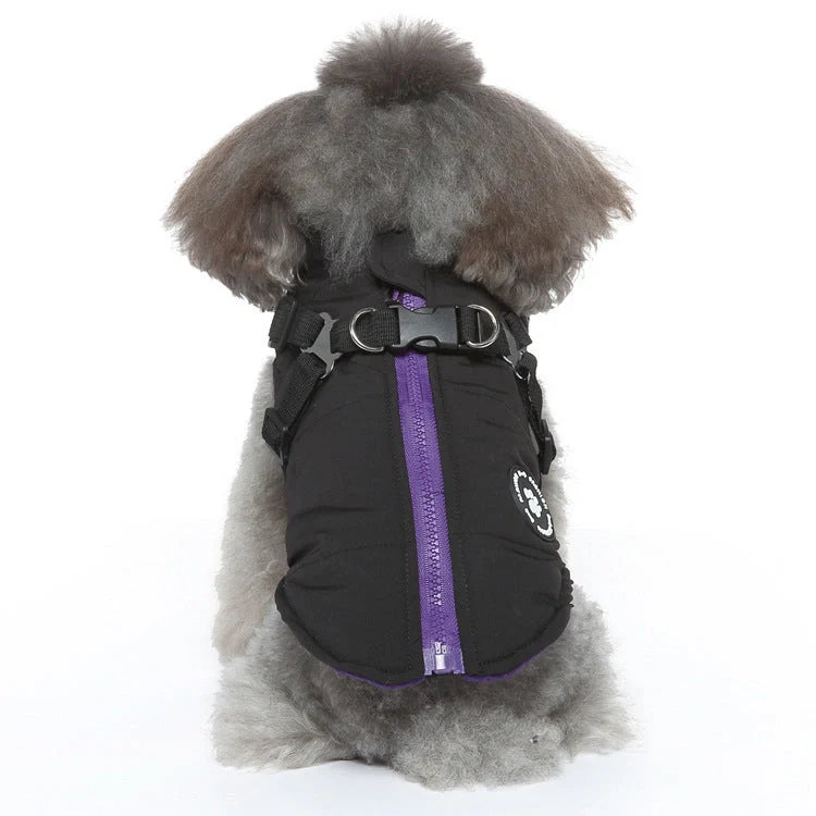 Chest Strap Jacket Cotton-padded Coat for pets in black, blue, green, and red