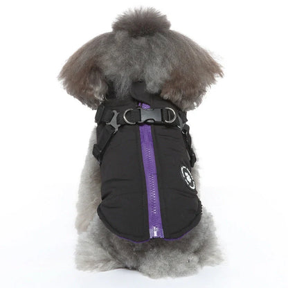 Chest Strap Jacket Cotton-padded Coat for pets in black, blue, green, and red