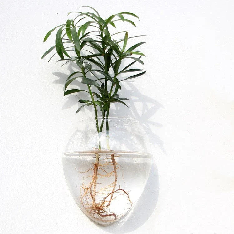 Elegant glass wall hanging flower vase planter terrarium with various shapes and sizes