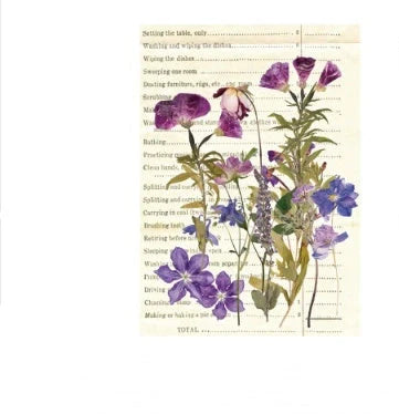 Herbarium DIY Plant Stickers pack with 8 unique botanical designs for creative decoration