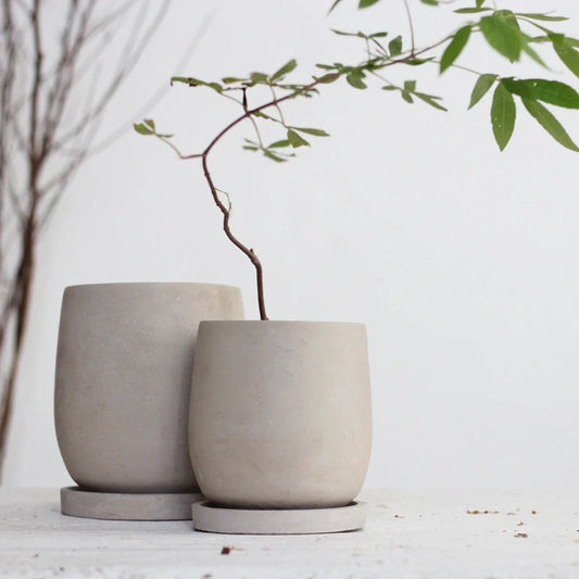 Elegant round cement flower pot with tray for healthy plants