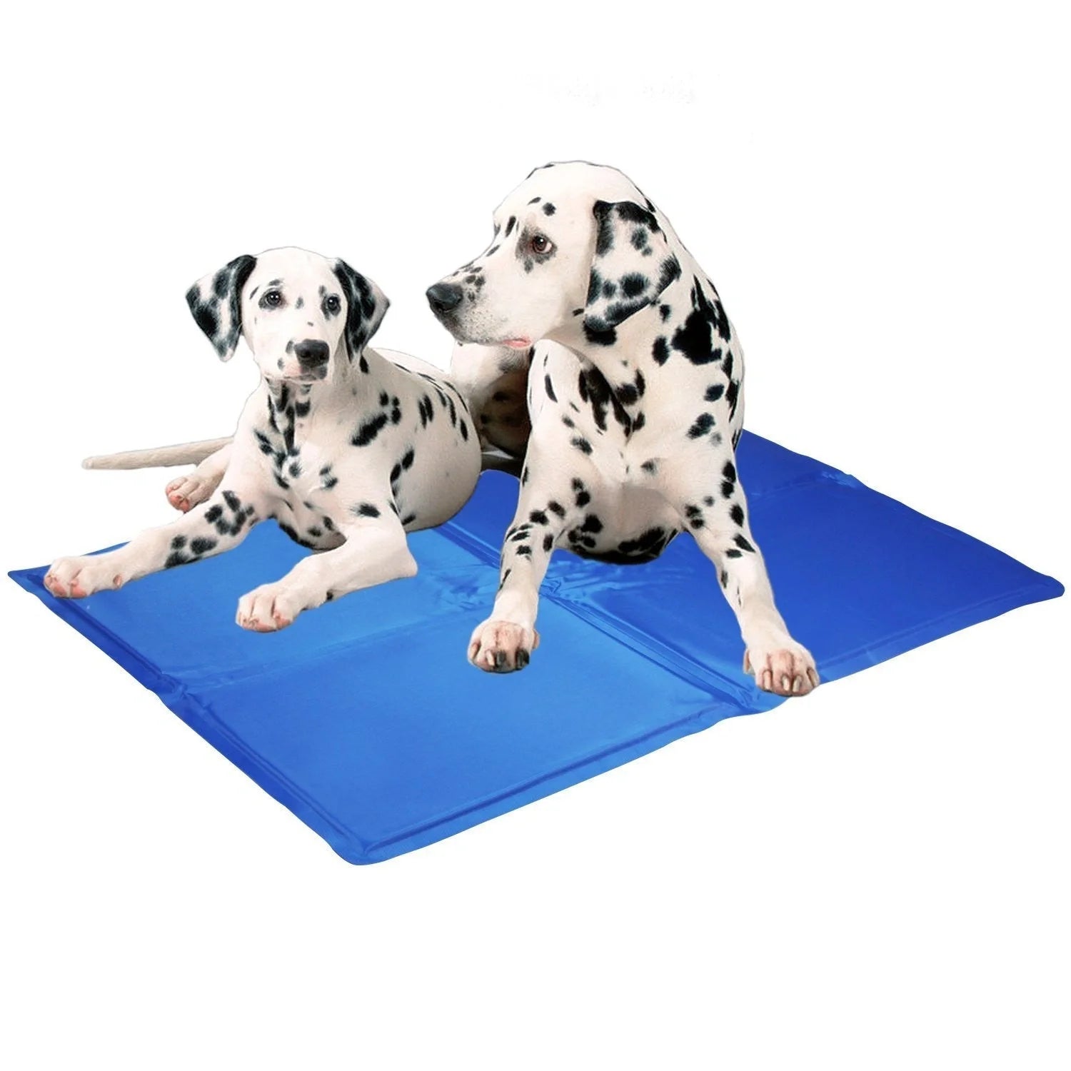 Blue dog cooling mat with pressure-activated ice crystal technology for summer use