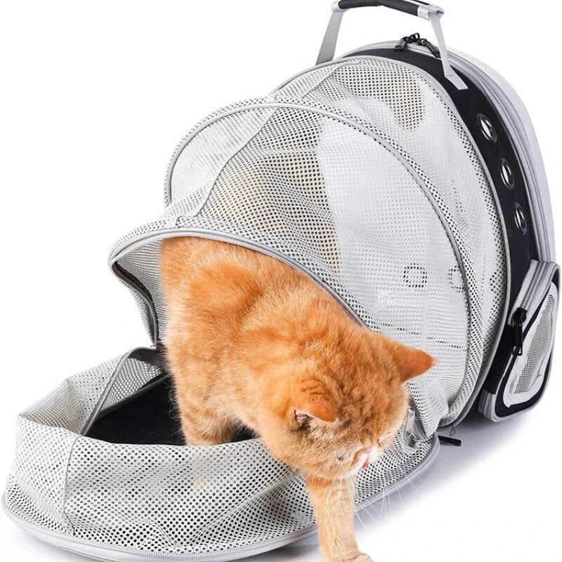 Expandable pet carrier backpack with transparent walls and breathable design for comfortable pet travel
