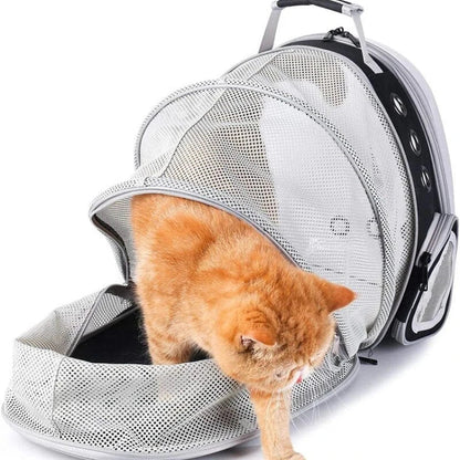 Expandable pet carrier backpack with transparent walls and breathable design for comfortable pet travel