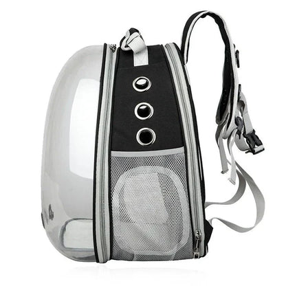 Expandable pet carrier backpack with transparent walls and breathable design for comfortable pet travel