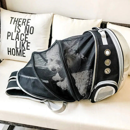 Expandable pet carrier backpack with transparent walls and breathable design for comfortable pet travel
