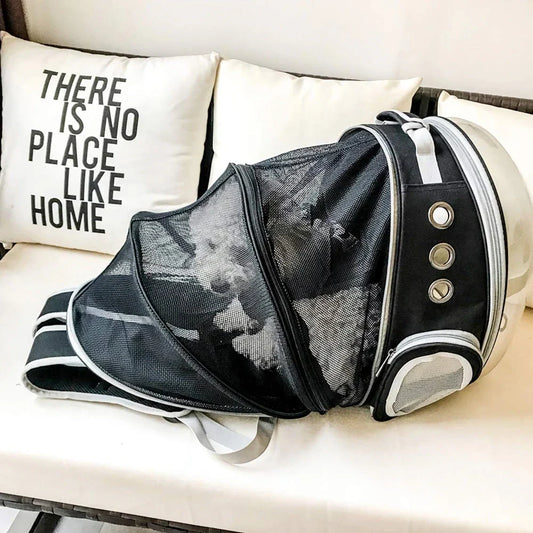 Expandable pet carrier backpack with transparent walls and breathable design for comfortable pet travel