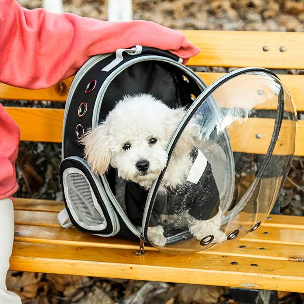 Expandable pet carrier backpack with transparent walls and breathable design for comfortable pet travel