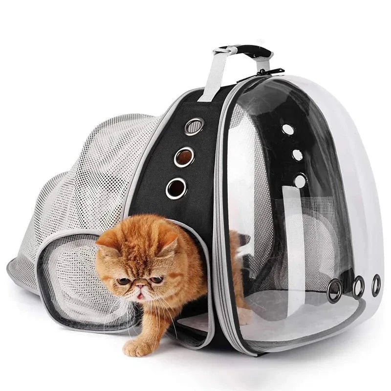 Expandable pet carrier backpack with transparent walls and breathable design for comfortable pet travel