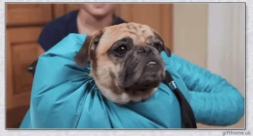 Blue Oxford cloth dog drying bag with Velcro strap, used to quickly dry dogs with a hairdryer