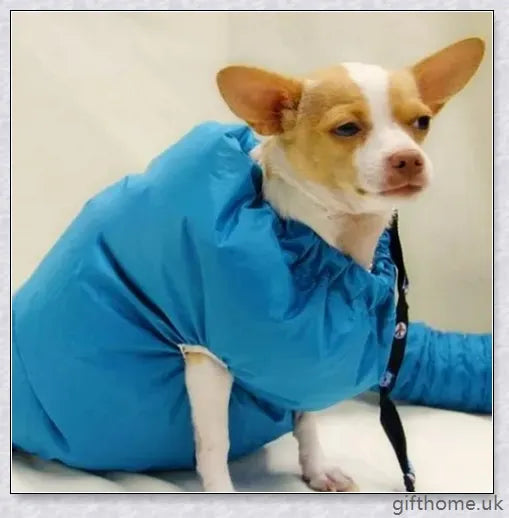 Blue Oxford cloth dog drying bag with Velcro strap, used to quickly dry dogs with a hairdryer