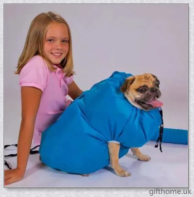 Blue Oxford cloth dog drying bag with Velcro strap, used to quickly dry dogs with a hairdryer