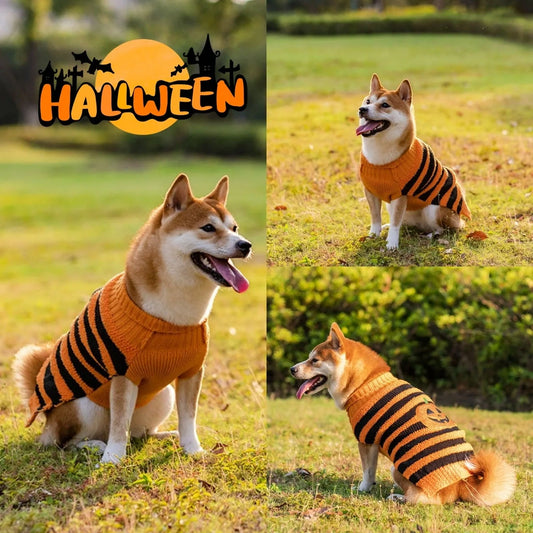 Halloween dog sweater in acrylic material for small pets, available in festive designs