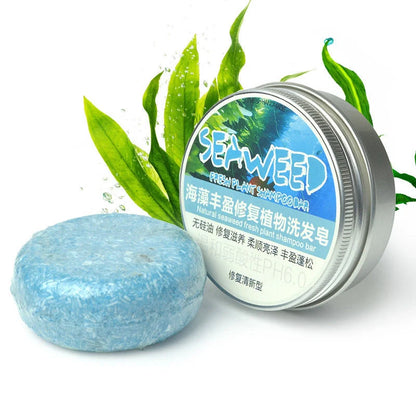 Ginger-infused nourishing shampoo conditioner essential oil soap for healthy hair and scalp
