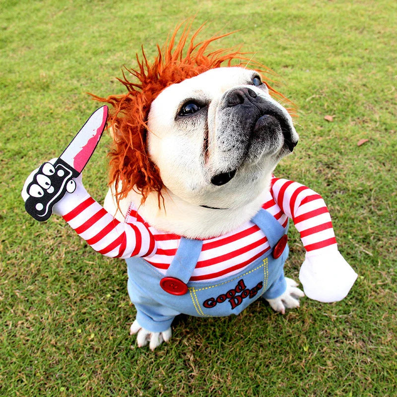 Adjustable Halloween pet costume for dogs in Horseman and Photo Color designs, includes wig and foam knife accessories