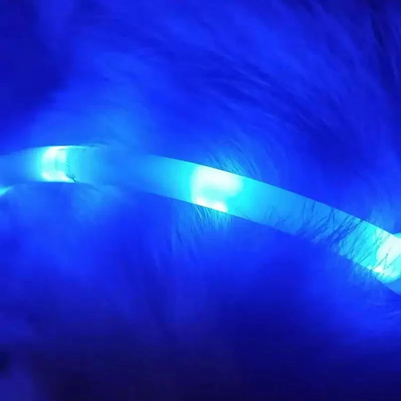 Blue LED pet light collar for dogs with adjustable modes and USB charging