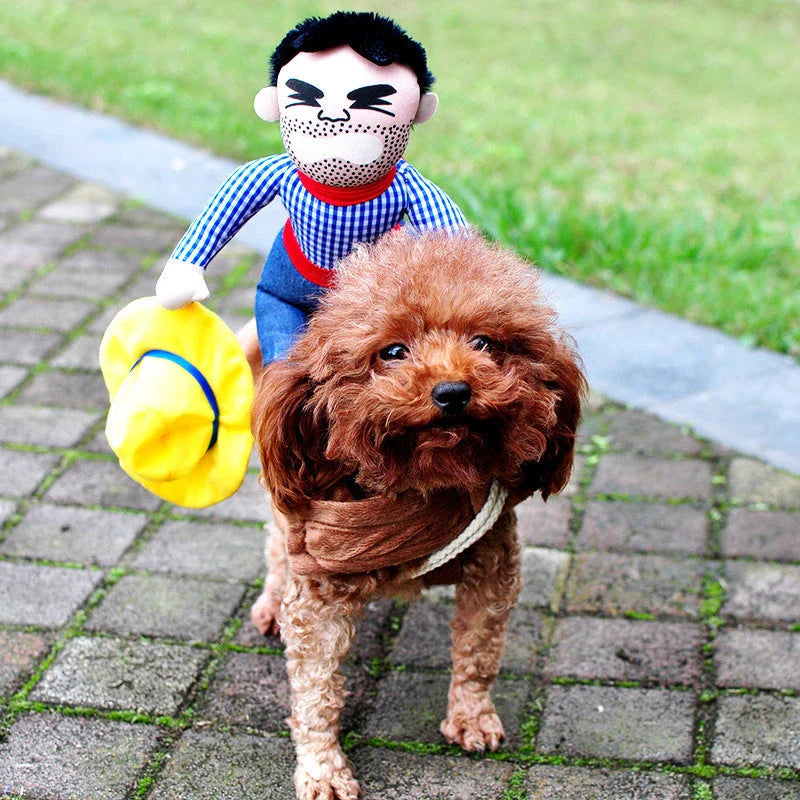 Adjustable Halloween pet costume for dogs in Horseman and Photo Color designs, includes wig and foam knife accessories