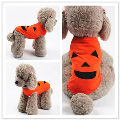 Adorable pumpkin-themed pet costume in various sizes and styles, perfect for Halloween celebrations with your furry friend