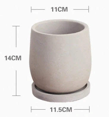 Elegant round cement flower pot with tray for healthy plants