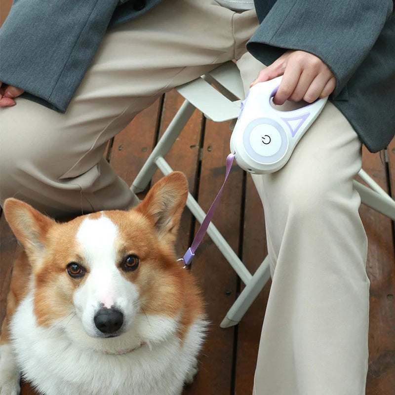 Retractable dog leash with automatic brake system in dream purple, sunshine orange, and mint green