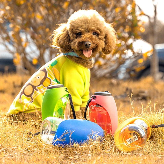 Portable dog water bottle and bowl set in various vibrant colors for small to large pets