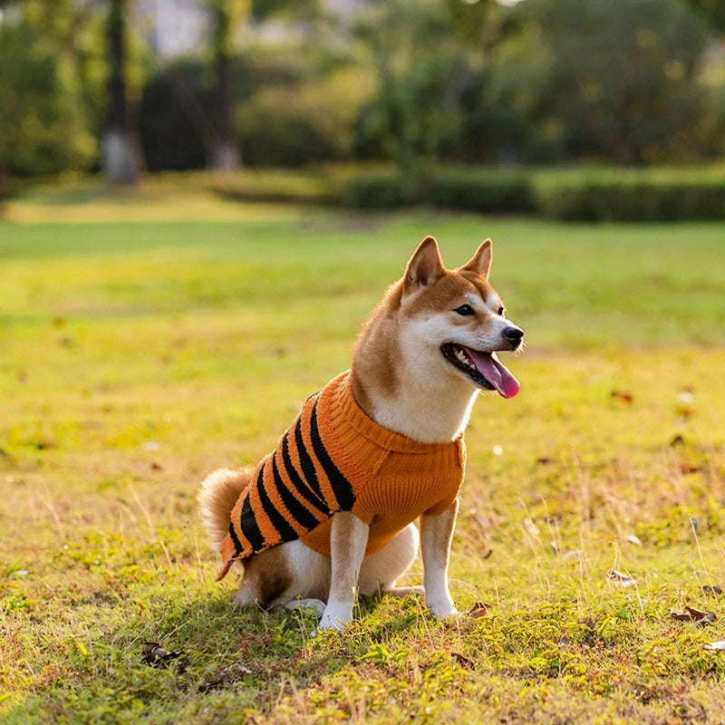 Halloween dog sweater in acrylic material for small pets, available in festive designs