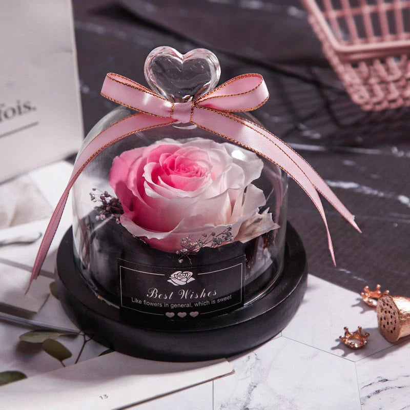 Enchanting Eternal Rose with LED lighting in a glass display, showcasing its timeless beauty and elegant design