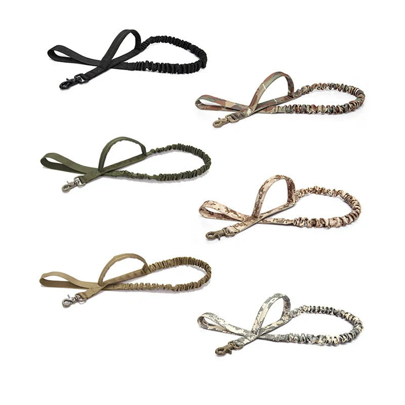 Retractable dog lead for outdoor training in various colors