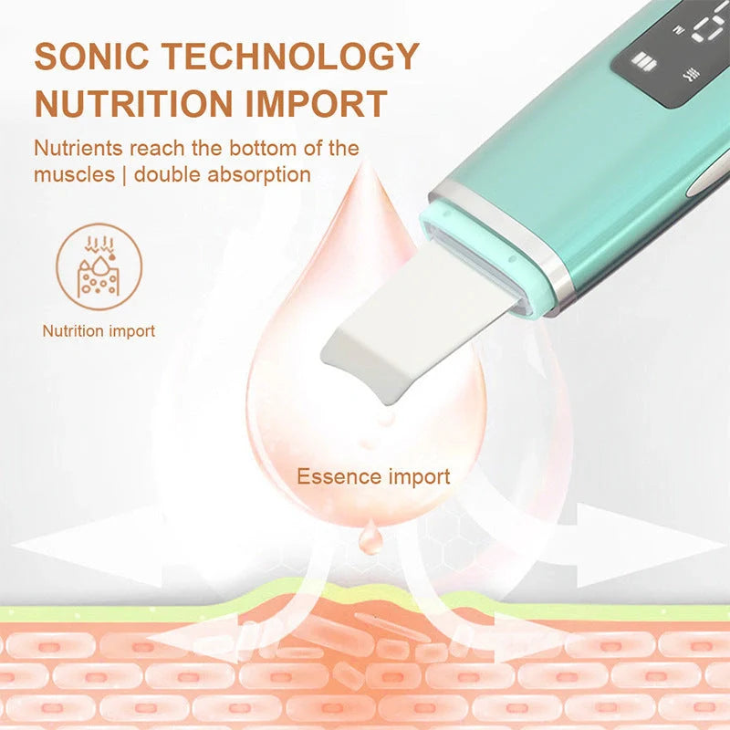 Ultrasonic Vibration Blackhead Remover with LED display and stainless steel shovel