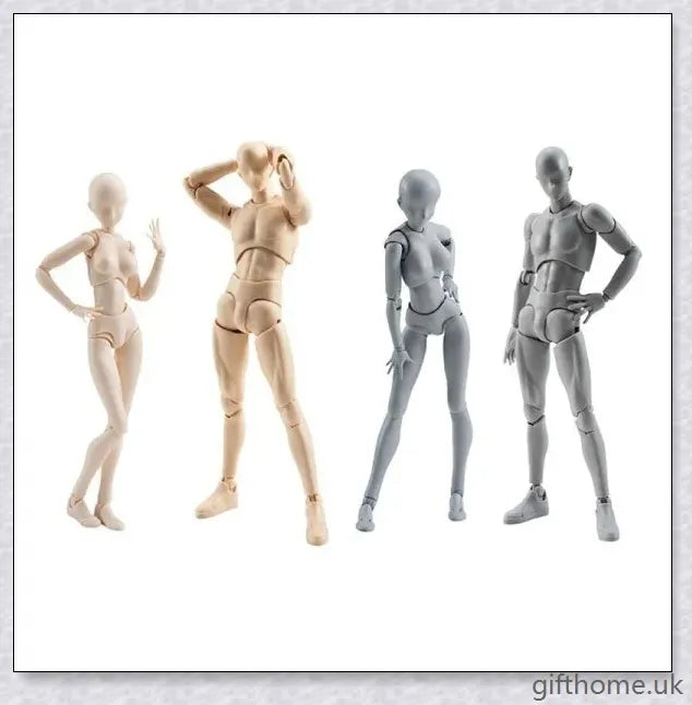 Premium drawing figures with articulated joints and customizable accessories for artists