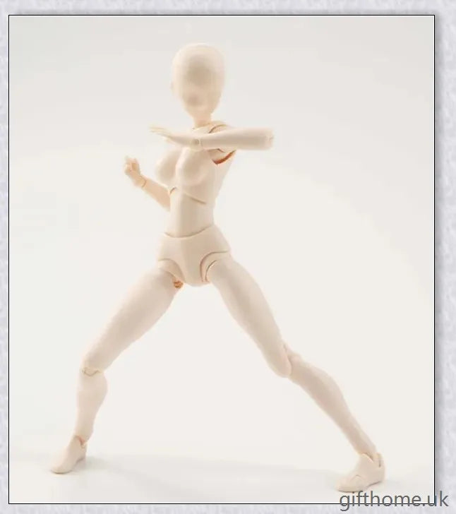 Premium drawing figures with articulated joints and customizable accessories for artists