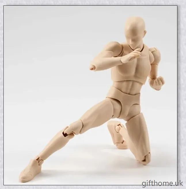 Premium drawing figures with articulated joints and customizable accessories for artists
