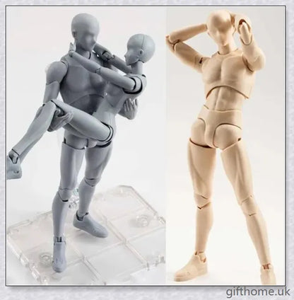 Premium drawing figures with articulated joints and customizable accessories for artists
