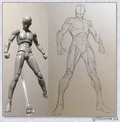 Premium drawing figures with articulated joints and customizable accessories for artists