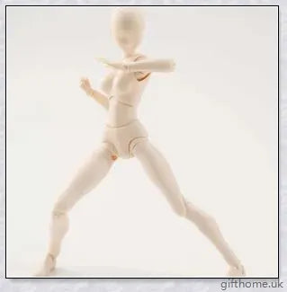 Premium drawing figures with articulated joints and customizable accessories for artists