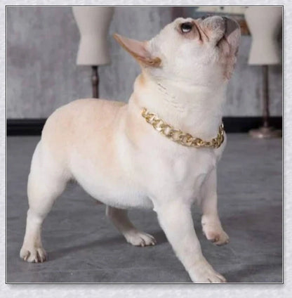 Thick gold chain dog collar with a stylish and durable design, perfect for adding a touch of urban sophistication to your pet's look.