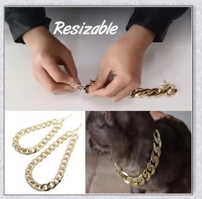 Thick gold chain dog collar with a stylish and durable design, perfect for adding a touch of urban sophistication to your pet's look.