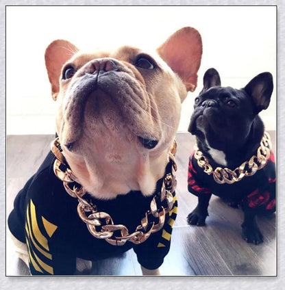 Thick gold chain dog collar with a stylish and durable design, perfect for adding a touch of urban sophistication to your pet's look.