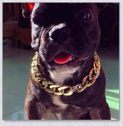 Thick gold chain dog collar with a stylish and durable design, perfect for adding a touch of urban sophistication to your pet's look.
